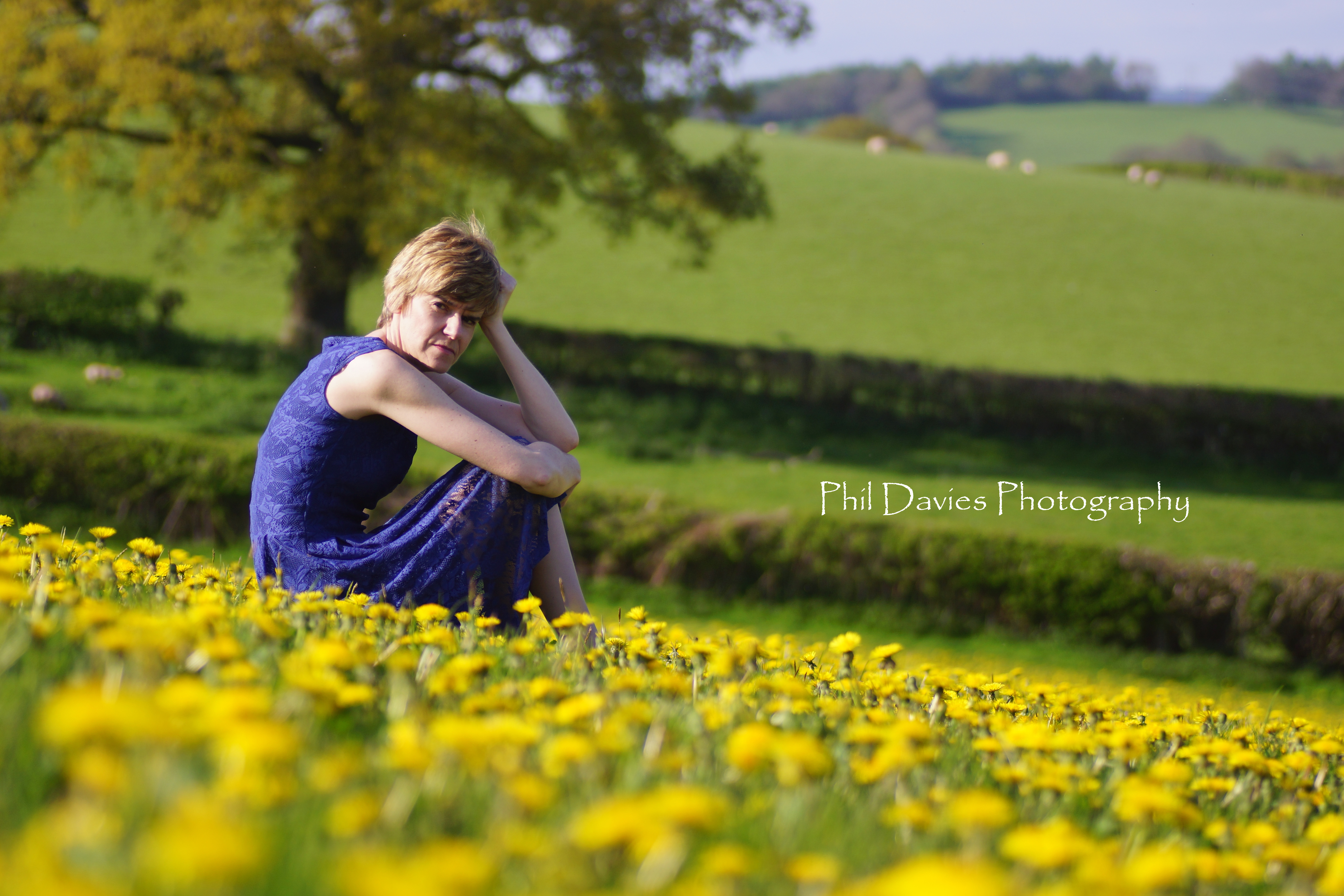 Laura Shepherd's Lens Photography